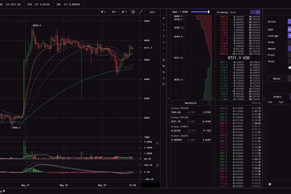 Kraken 11at