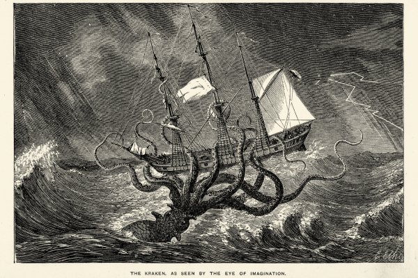 Kraken даркнет рынок