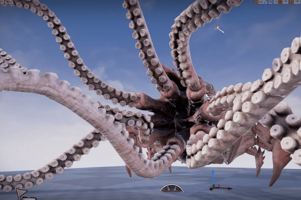 Kraken19 at